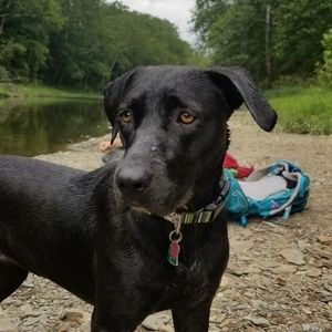 Meet your Posher, Vicky